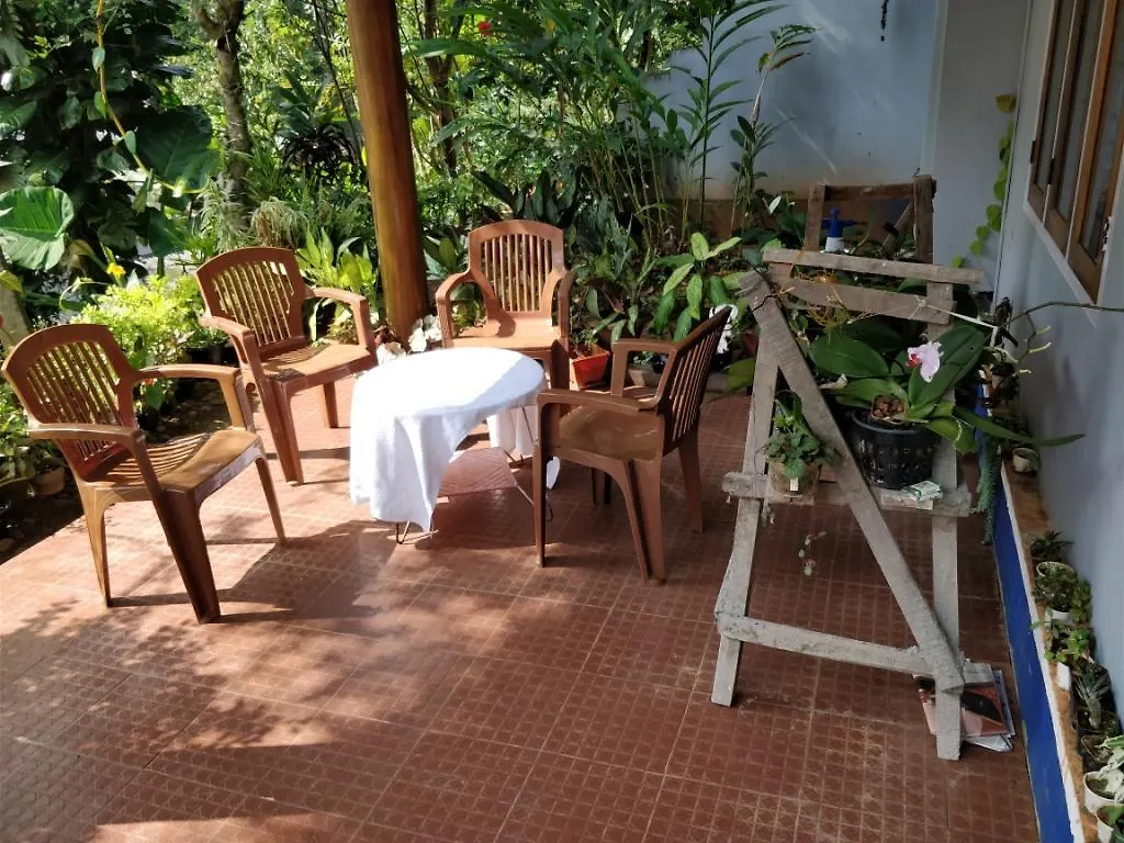 River View Inn Munnar Guest house