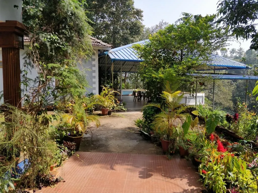 Guest house River View Inn Munnar
